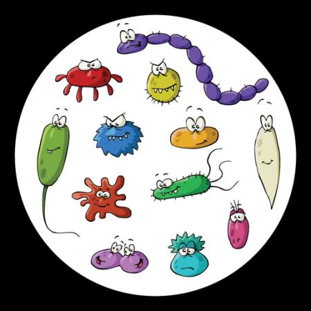 insecte, microscop, noroi, virus Dedmazay - Dreamstime