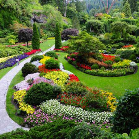 grădină, flori, culori, verde Photo168 - Dreamstime