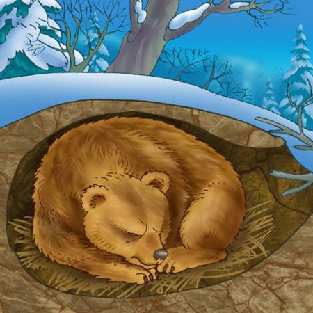urs, iarnă, de somn, rece, natura Alexander Kukushkin - Dreamstime