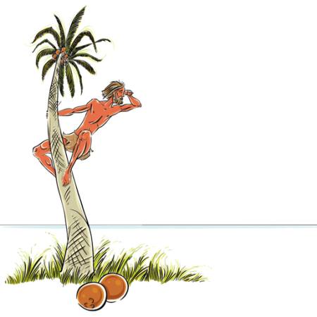 om, persoana, barbat, insulă, irecuperabile, nucă de cocos, palmier, uite, mare, ocean Sylverarts - Dreamstime