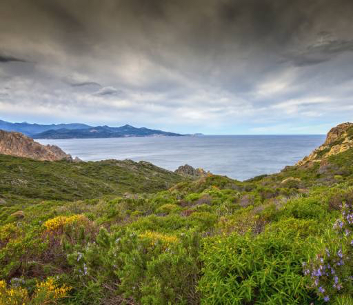 natura, peisaj, mare, ocean, verde, cer, furtună Jon Ingall (Joningall)