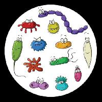 Pixwords Imaginea cu insecte, microscop, noroi, virus Dedmazay - Dreamstime
