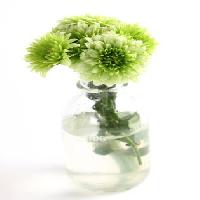 Pixwords Imaginea cu de plante, floare, verde, de apă, tub, vaze Kerstin Aust - Dreamstime