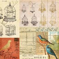 Pixwords Imaginea cu colivie, pasăre, păsări, desen Jodielee