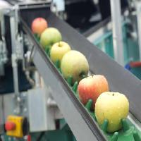 Pixwords Imaginea cu mere, produse alimentare, mașini, fabrica Jevtic