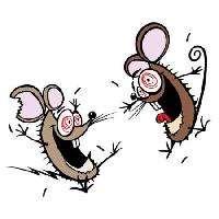 Pixwords Imaginea cu mouse-ul, șoareci, nebun, fericit, două Donald Purcell - Dreamstime