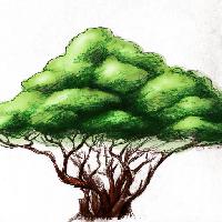 Pixwords Imaginea cu copac, desen, natura Alexandr Mitiuc (Alexmit)