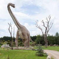 Pixwords Imaginea cu dinozaur, parc, copac, plete, animale Caesarone
