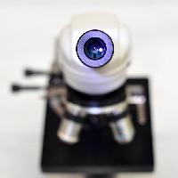 Pixwords Imaginea cu aparat de fotografiat, lentilă, microscop catiamadio