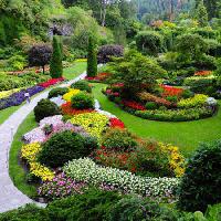 Pixwords Imaginea cu grădină, flori, culori, verde Photo168 - Dreamstime