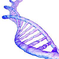 ADN, gena, umană, sânge, mov Sebastian Kaulitzki - Dreamstime