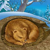 Pixwords Imaginea cu urs, iarnă, de somn, rece, natura Alexander Kukushkin - Dreamstime