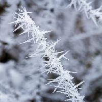 Pixwords Imaginea cu îngheț, gheață, iarnă, Spike Haraldmuc - Dreamstime