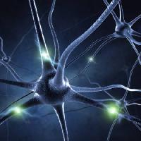 Pixwords Imaginea cu synapse, cap, neuron, conexiuni Sashkinw - Dreamstime