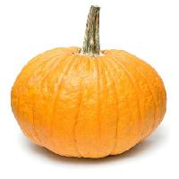 Pixwords Imaginea cu Halloween, portocaliu, fructe, legume Niderlander - Dreamstime