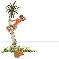 om, persoana, barbat, insulă, irecuperabile, nucă de cocos, palmier, uite, mare, ocean Sylverarts - Dreamstime