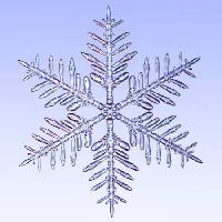 Pixwords Imaginea cu gheață, fulg, iarnă, zăpadă James Steidl - Dreamstime