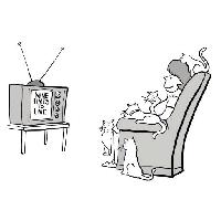 noua televiziune, vieți, femeie, pisici Andrewgenn