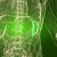 Pixwords Imaginea cu organ, umană, omul Sebastian Kaulitzki - Dreamstime