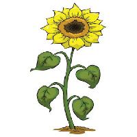 Pixwords Imaginea cu galben, cresc, floare, verde, plantelor Dedmazay - Dreamstime