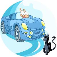 masina, unitate, pisica, animale Verzhh