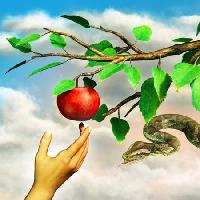 de mere, șarpe, ramură, verde, frunze, de mână Andreus - Dreamstime