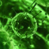 Pixwords Imaginea cu bacterii, viruși, insecte, boli, celule Sebastian Kaulitzki - Dreamstime